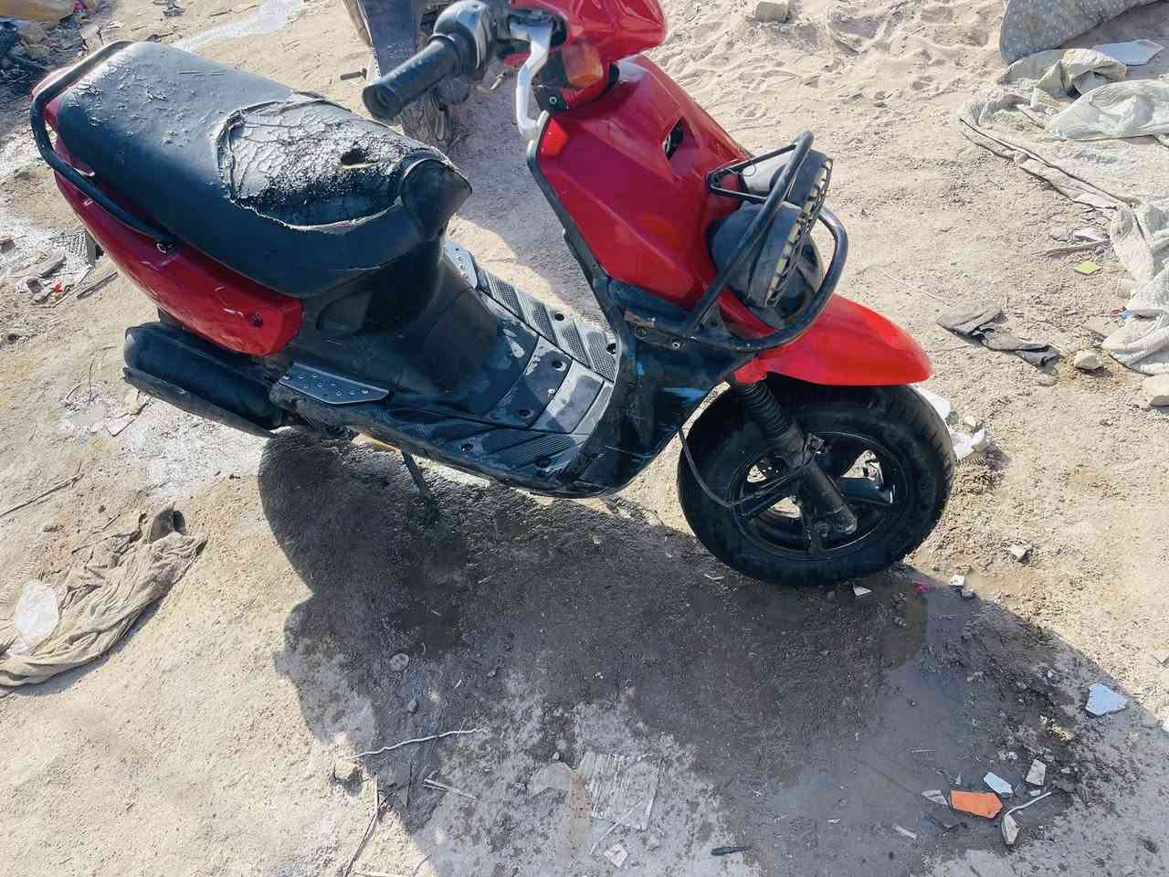 اكزز جبلي للبيع  شغاله سلف هندر مكاني ناصريه  ***********
