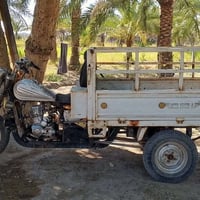 ستوتة • ام تي ار