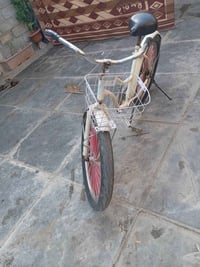 بسكليت • ياباني • بغداد العبيدي