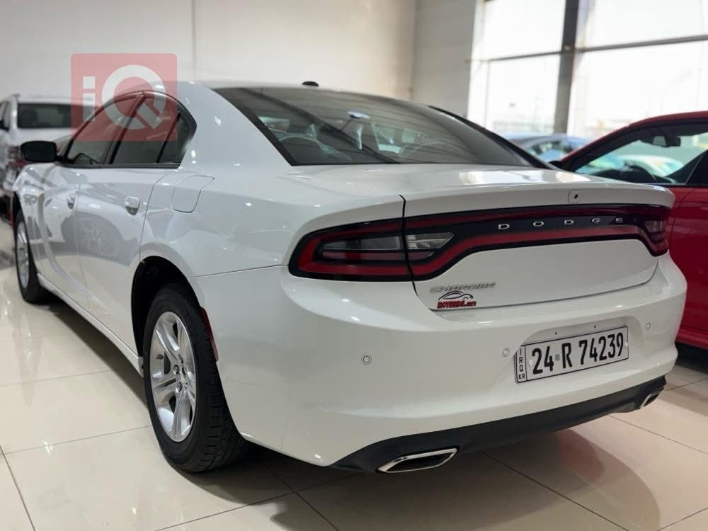 جارجر sxt
موديل 2022
ماشي 58
سياره بي جاملغ او باب مبدل بلادي بدون دواخل بدون ايرباك
ضرار كلش خفيف موجود صوره حادث
مكان كركوك
سعر 243

***********
