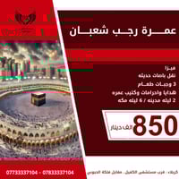 عمرة مفردة • يناير ٢٠٢٥ • كربلاء المقدسة