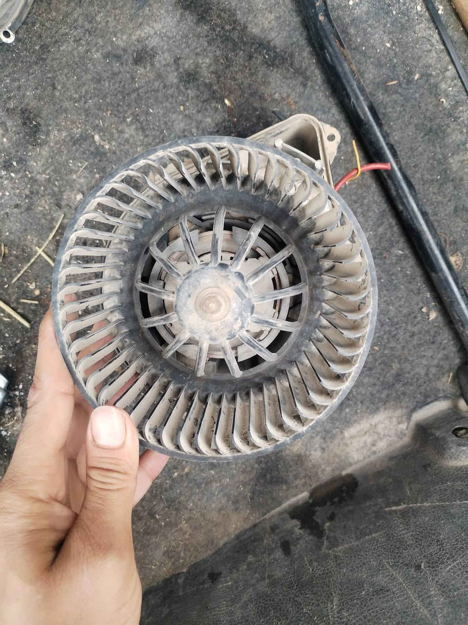 فان مال سمند اصلي مال تفصيخ شغال كلشي مابي

سعر ٢٥

***********
