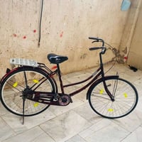 باسكل • ٢٦ • نظيف