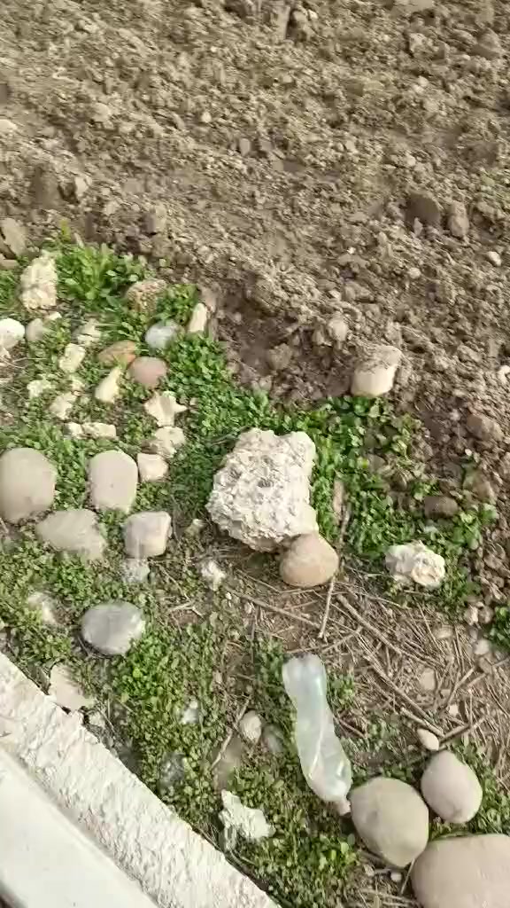 ارض للبيع...... ارض للبيع

المساحة: 2000 م 

الموقع: حي المزارع قريبة عالشارع الحولي وقريبة عالنهر

اتجاهها شروق

خدمات كاملة ماء كهرب تبليط

ممكن بيعها حسب الطلب 

تقع بين فلل سكنية والارض مسيجة كاملة بلوك 

للاستفسار 

***********

***********

بيهن واتساب
