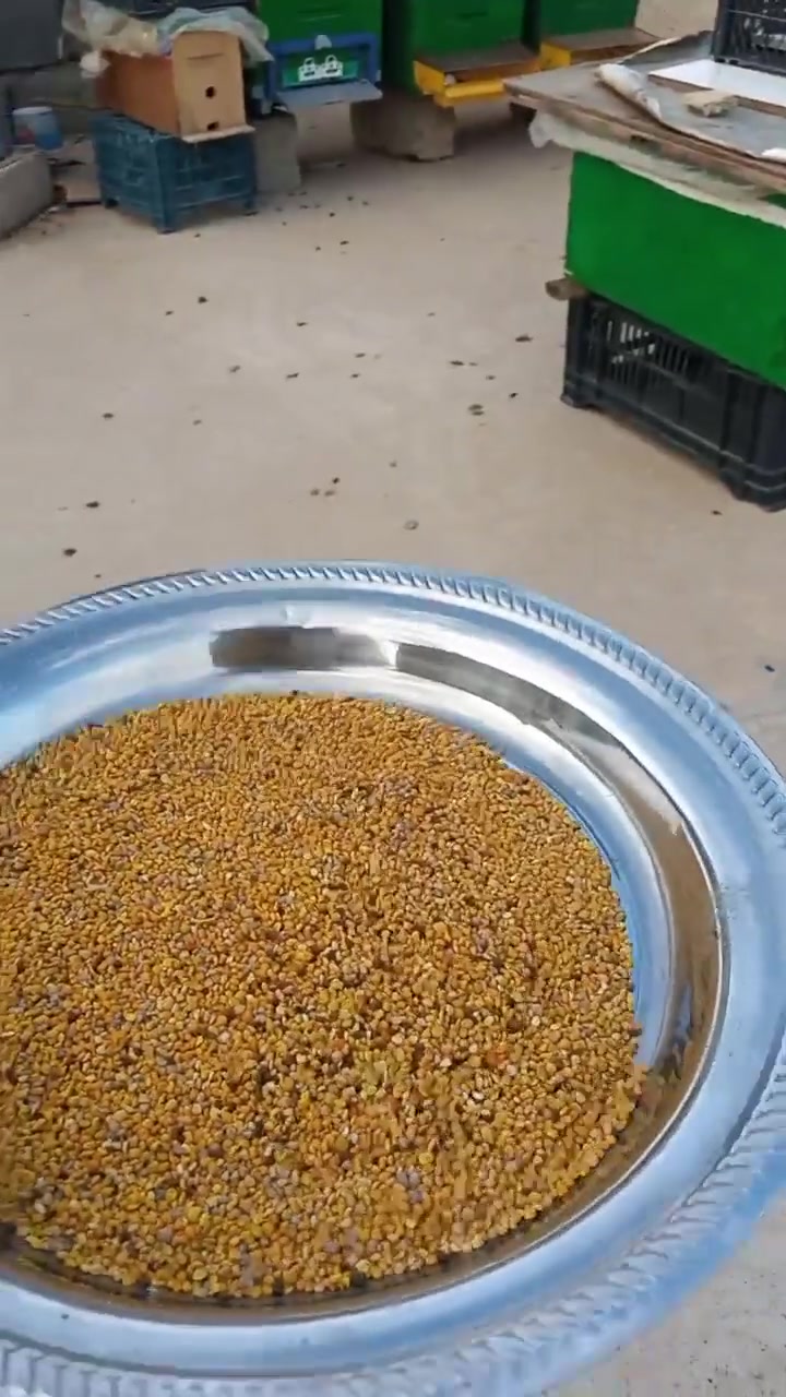 انتاج حبوب لقاح النحل شمال العراق مدينة تلعفر 🐝🍯


**إذا كنت صاحب هذا الإعلان وتريد حذفه لأي سبب، رجاءا أرسل رسالة إلى الدعم الفني**