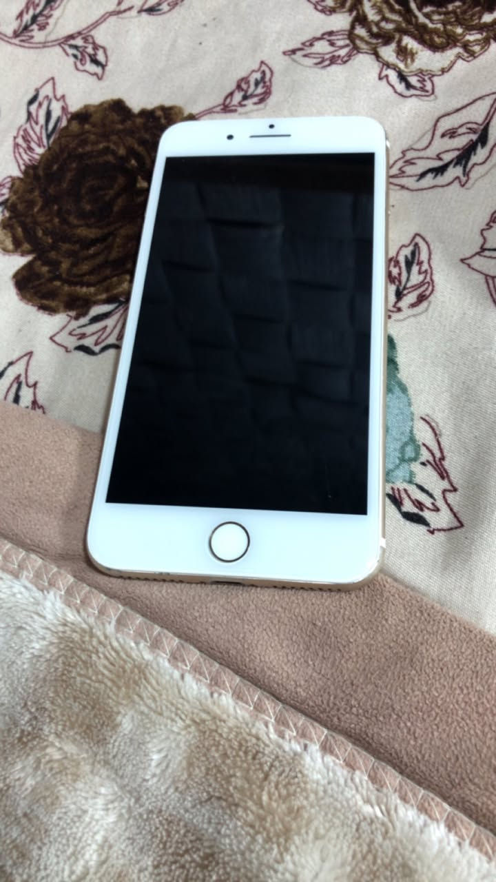 موبايل ايفون 7بلاس فقط شاشه مبدله وسيم واكف بطاريه ٨٧ ٪؜ السعر ٧٥ وبي مجال


**إذا كنت صاحب هذا الإعلان وتريد حذفه لأي سبب، رجاءا أرسل رسالة إلى الدعم الفني**