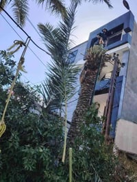 كادر محترف في  مجال التقطيع  واتساب 07802340423   👍👍✅ شعارنا المصداقيه...