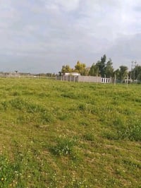 كركوك ليلان • ١ دونم • ماء وكهرباء
