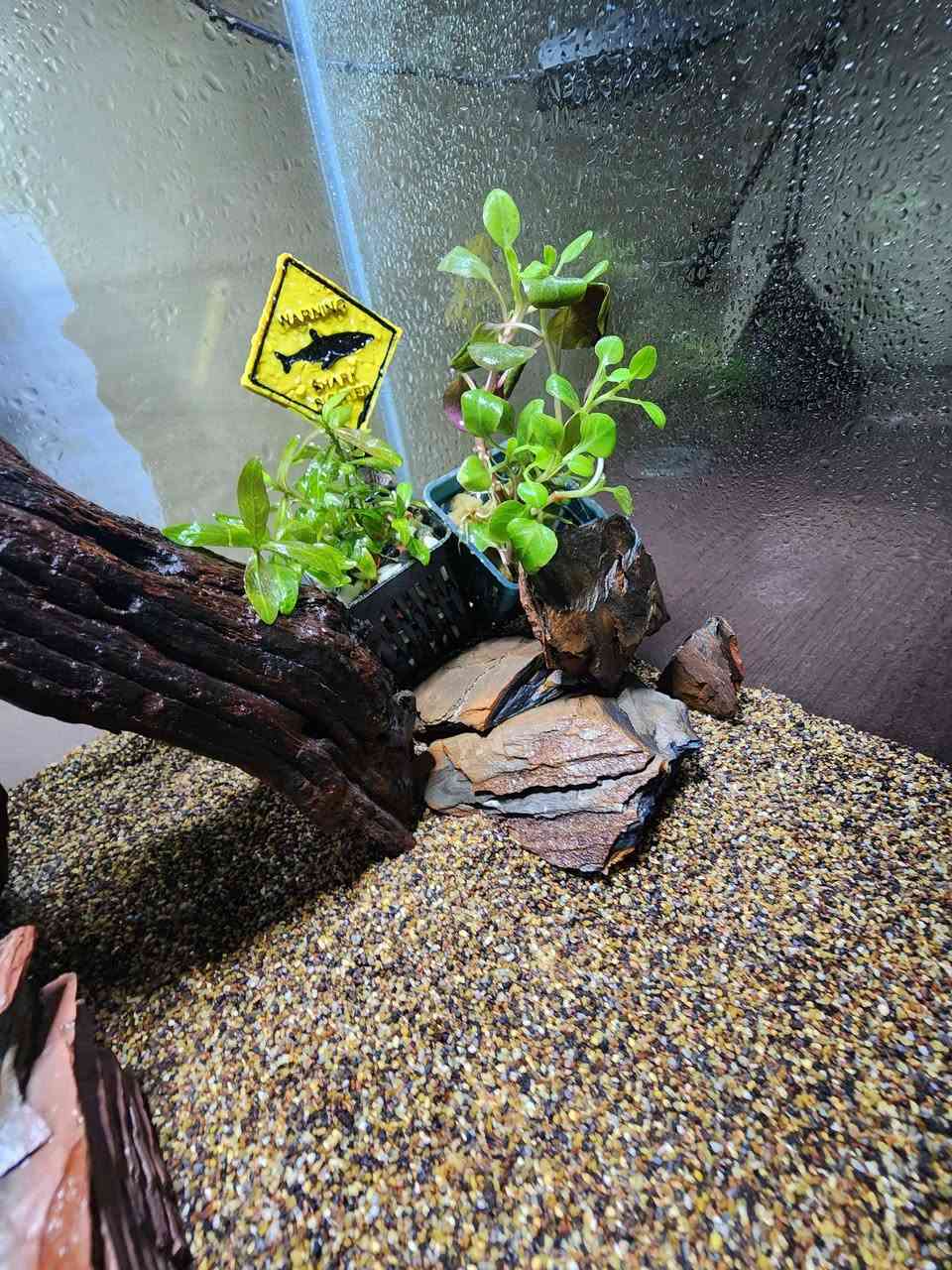 حوض قياس30×30×30🐠
بتصميم جديد 🍀🌧✨️
يحتوي على
رمل طبيعي 
حجر طبيعي🪨
نبات طبيعي🍀
فلتر هانك (شلال):لتنقية المياه وتنضيف الشوائب
اناره LED:متغيرة الالوان
هيتر :للحفاض على درجة حرارة المياه في الحوض 
قطعة ديكور 
كل هذا ب٦٠ الف دينار✅️
يوجد توصيل لجميع المحافضات🚚


**إذا كنت صاحب هذا الإعلان وتريد حذفه لأي سبب، رجاءا أرسل رسالة إلى الدعم الفني**