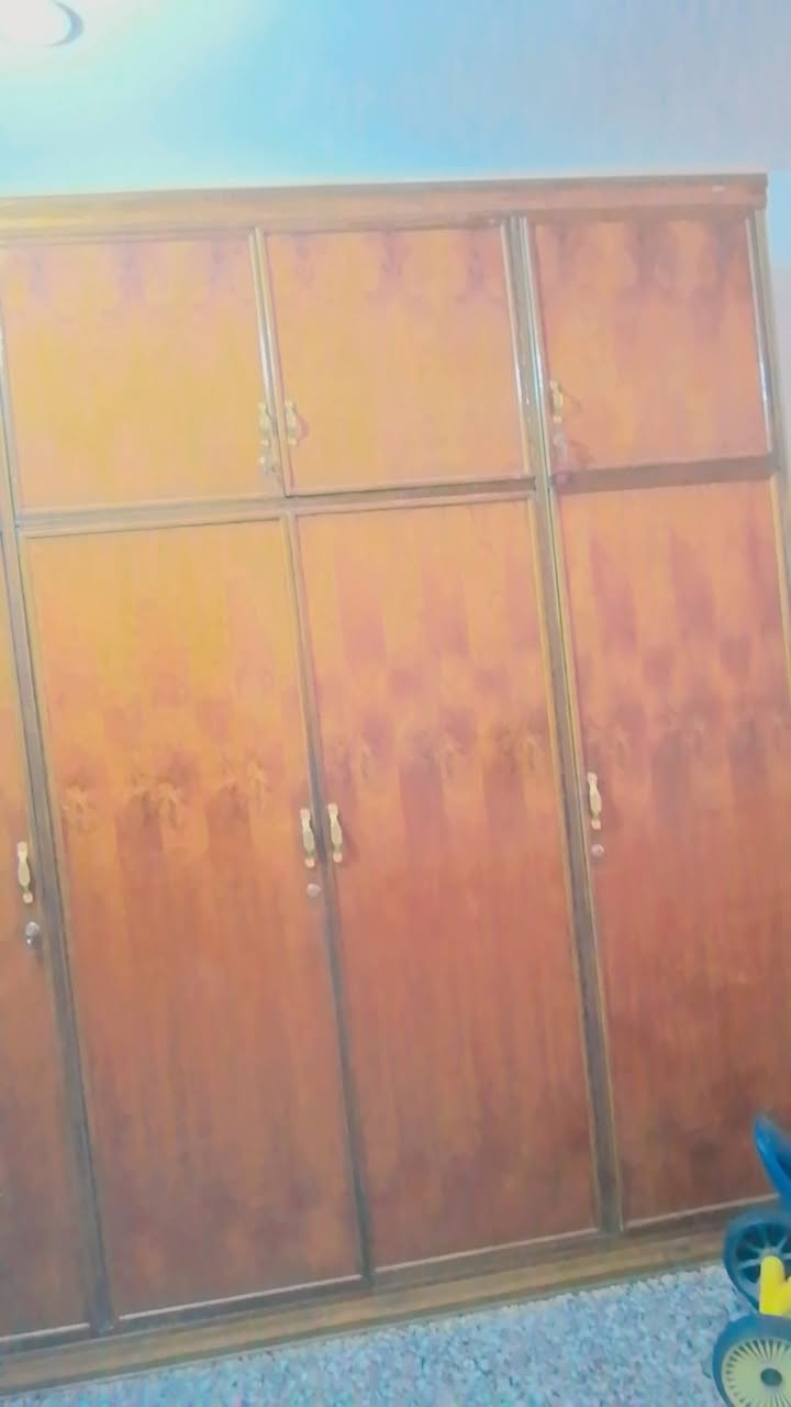 كنتور ٤بيبان صاج عراقي ملحق للبيع ب٢٠٠الف مكاني الخطيب الزراعي /بغداد


**إذا كنت صاحب هذا الإعلان وتريد حذفه لأي سبب، رجاءا أرسل رسالة إلى الدعم الفني**
