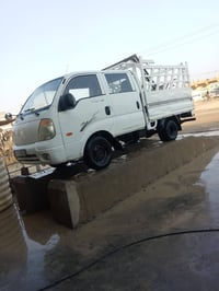 بونغو • ٢٠٠٨ • رقم ديالى