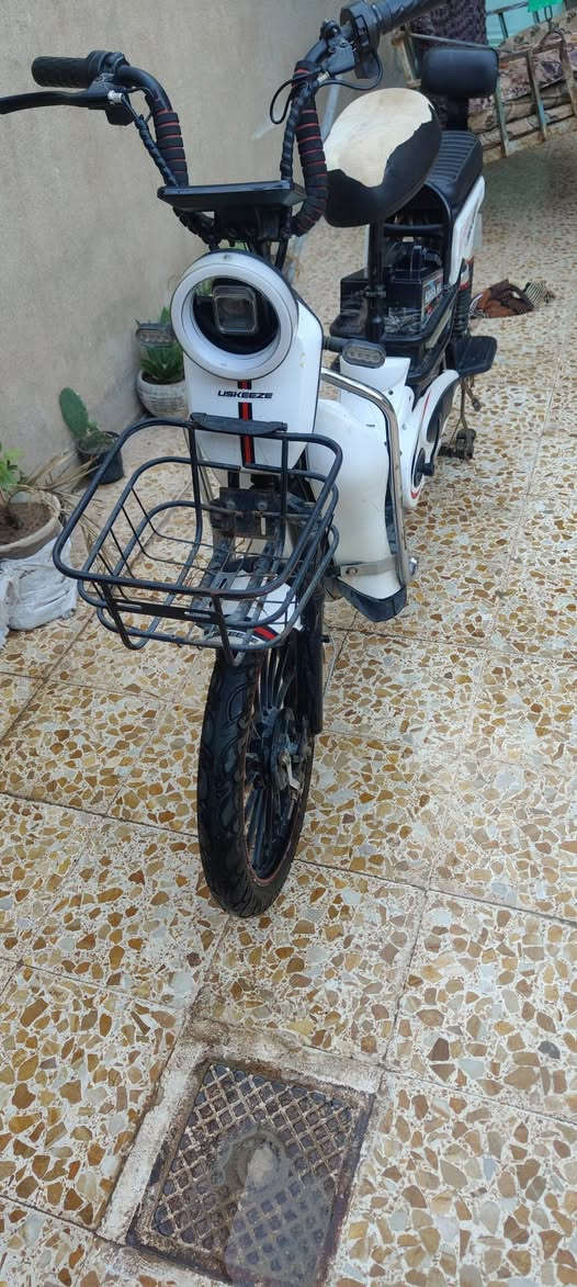 السلام عليكم ماطور شحن للبيع شغال ونظيف السعر 250


**إذا كنت صاحب هذا الإعلان وتريد حذفه لأي سبب، رجاءا أرسل رسالة إلى الدعم الفني**