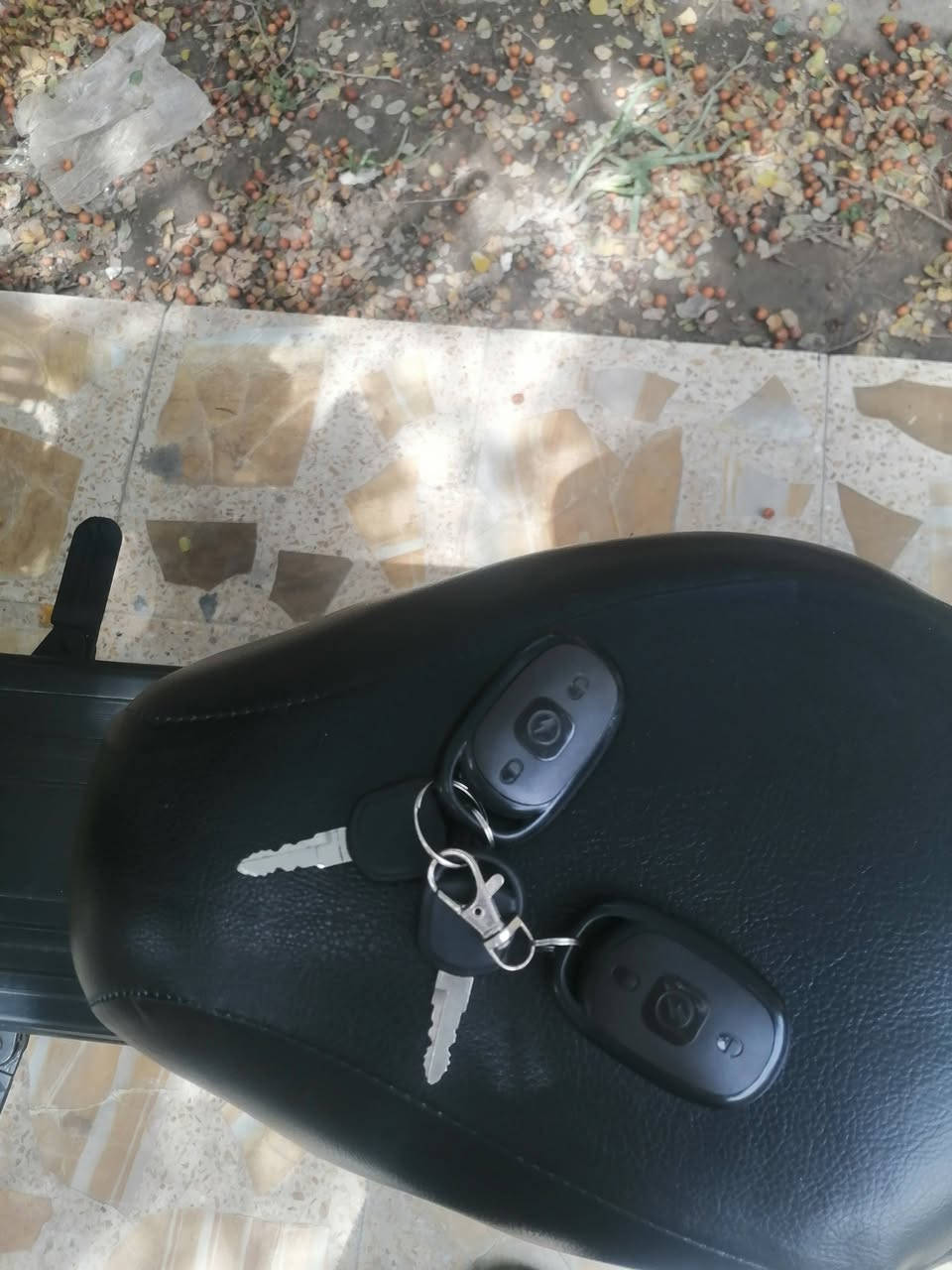 السلام عليكم..
دراجه شحن نضيفه ضمان كلشي يشتغل بيهه بطاريات جدد مايصرفن السعر ١٥٠ قفل مع سويجين وبصمتين مال بيت الدرجه ضمان.. ***********
