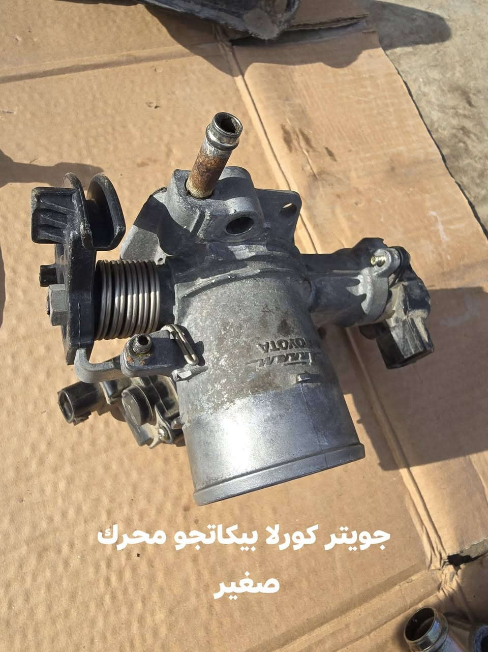 السلام عليكم 
غراظ بيكاتجو وارد من موديل 1 الحد 7
الاسعار جمله يوجد توصيل بغداد وديالى هاذة رقمي ***********
