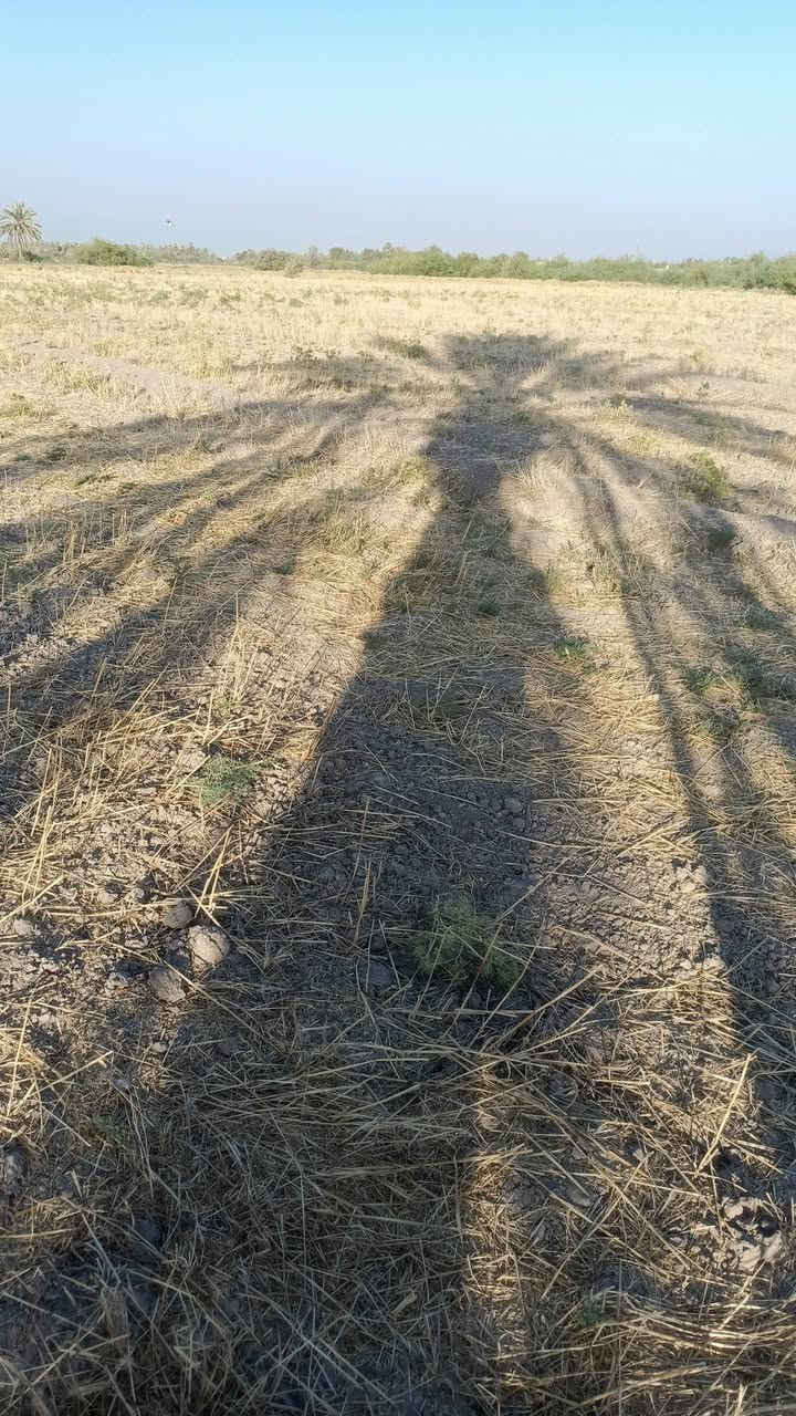 ارض زراعيه في قضاء المحاويل قريه خنفاره للاتصال على هذا الرقم
***********
