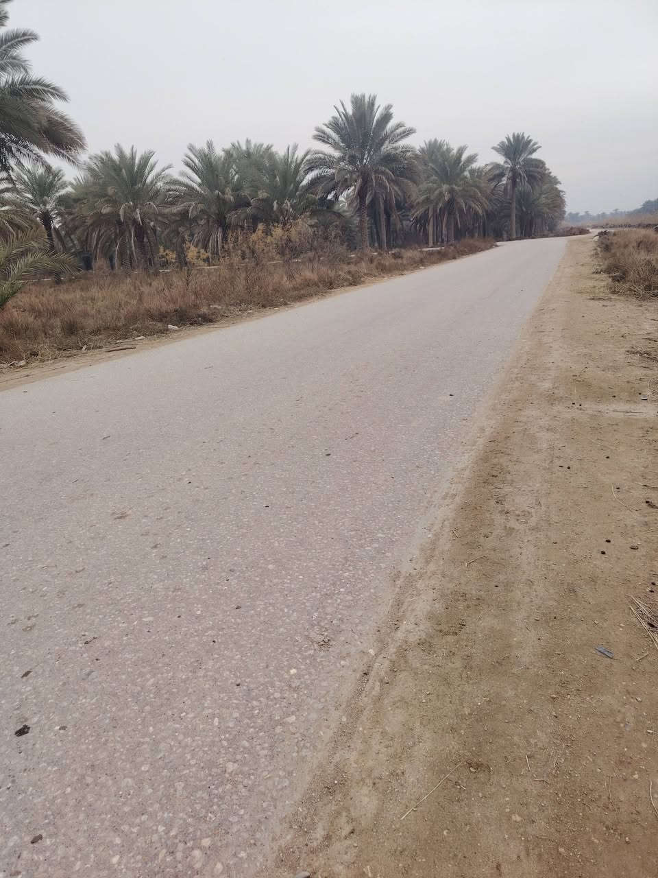 اللهم صل على محمد وال محمد
ارض للبيع المساحه 3 دونم طابو زراعي 25 تحويل باسم المشتري كربلاء الحسينيه منطقة البركه وجه شارع تبليط السعر الكلي ٣٢٥ الاستفسار ع الرقم ***********
