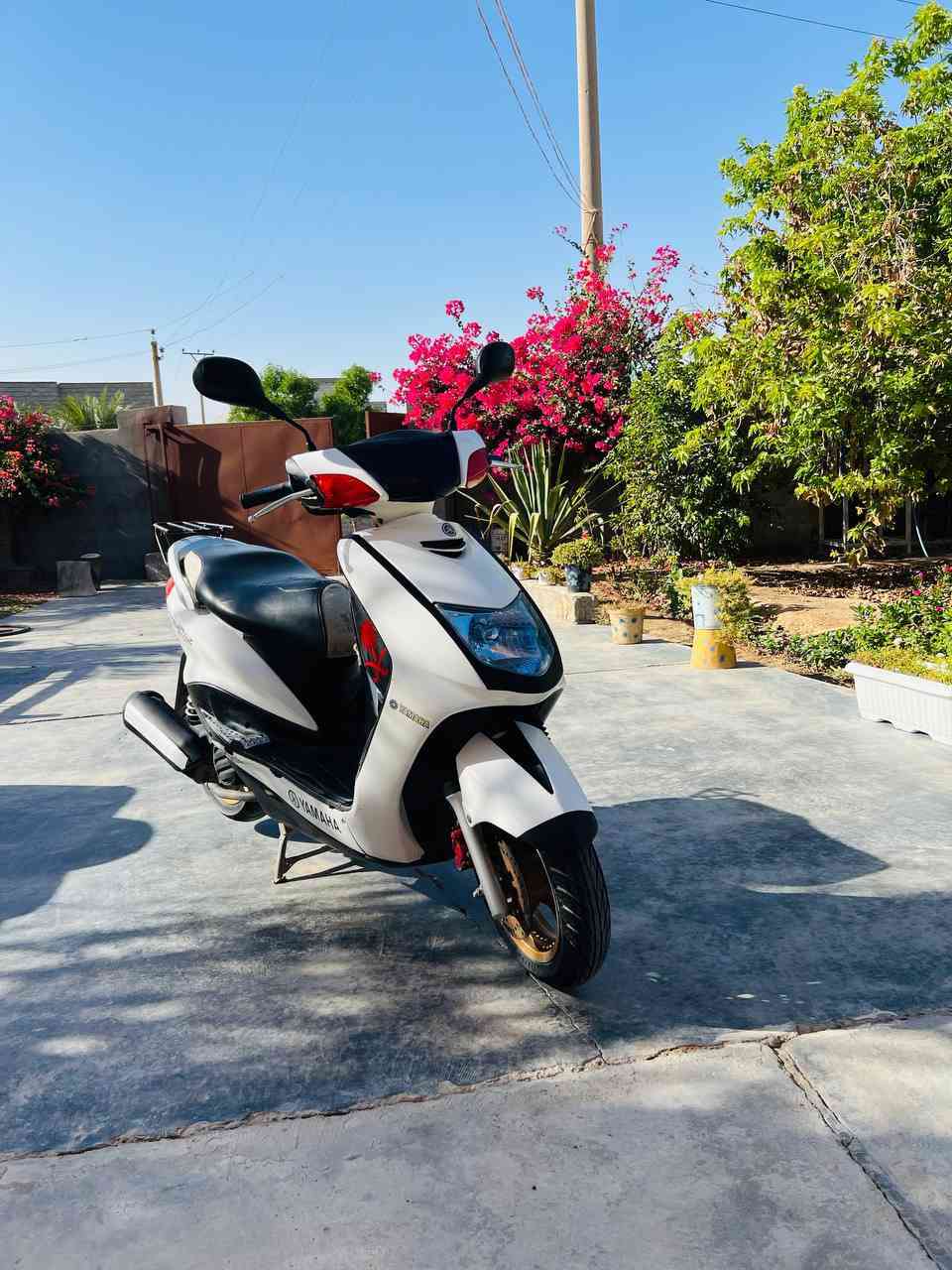 سلام عليكم دراجة سكنس نثيه ، مثل ما واضحه بصورة
بالحقيقة بعد انضف ، دراجه مابيها كل نقص ، بوشه 58 

شرط تقفل يده 110 وتعبر  شلعه تاكل لكاع . رقم صاحبها *********** . 

مكان ديالى سد حمرين
