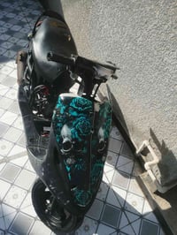 ماكس • نضيفه • بابل