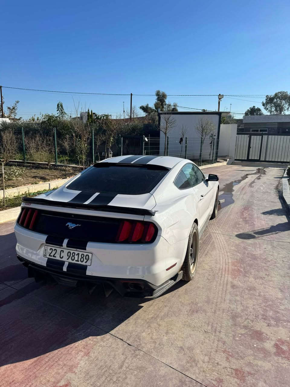 Ford mustange 2017 
٦ پستنه‌ 
٢ پارچه‌ی هه‌یه‌ بۆنیت چامرغ بێ ژۆرێ بێ ئێرباگ 
١٥٧$ كه‌مه‌ك مه‌جال 
هه‌موشته‌ك داندرایه‌ له‌ وه‌تس ئاپ نامه‌ بنێرن 

*********** به‌س واتس ئه‌پ أربيل, العراق
