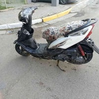 ماكس ثعلب • نظيفه • دبلات اماميه تعبانه