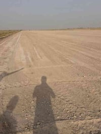 الفلوجه ذراع دجله • ٨ دونم • طابو زراعي سند٢٥