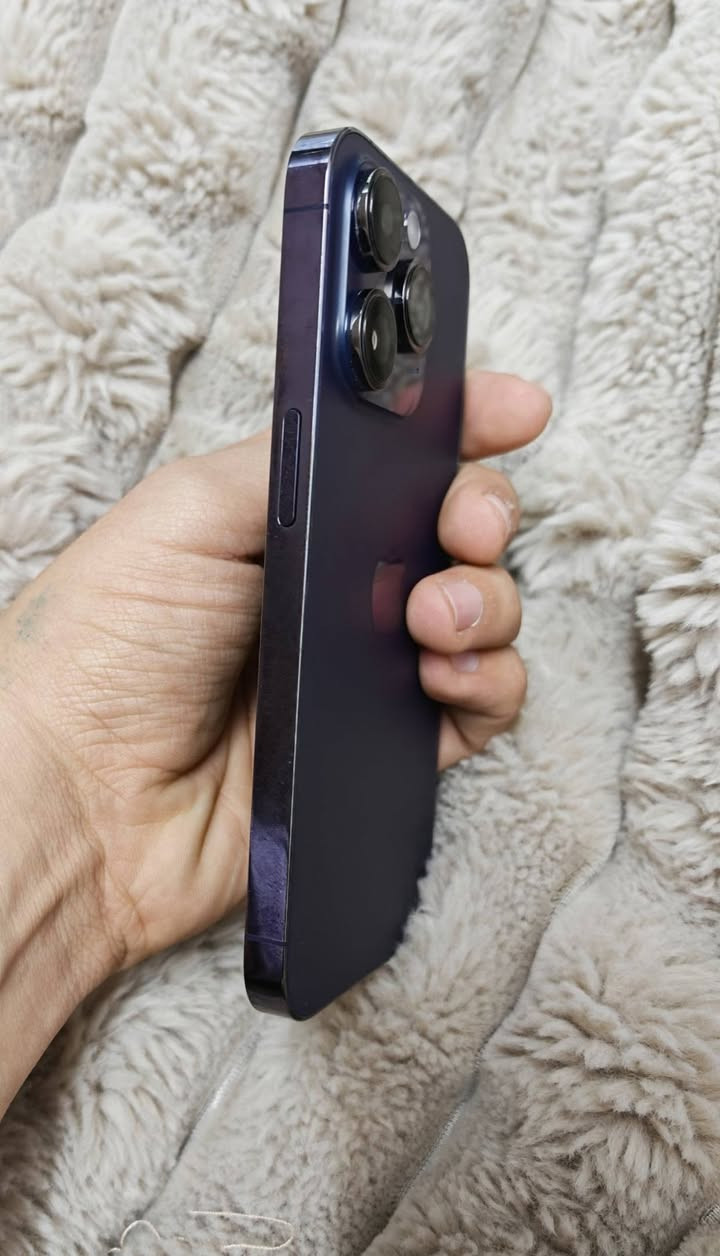 السلام عليكم
ايفون 14pro  للبيع سعة 256 بطاريتة 76 نضيف من الجوانب سعرة 700 الف وموجودة شاحنة اصلية ويا وكارتونه مالتة موجودة


**إذا كنت صاحب هذا الإعلان وتريد حذفه لأي سبب، رجاءا أرسل رسالة إلى الدعم الفني**