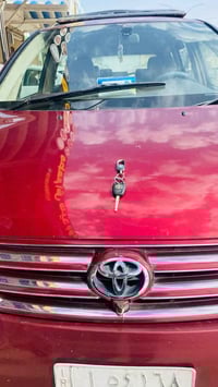 ٢٠٠٥ • رقم النجف • ٧ راكب