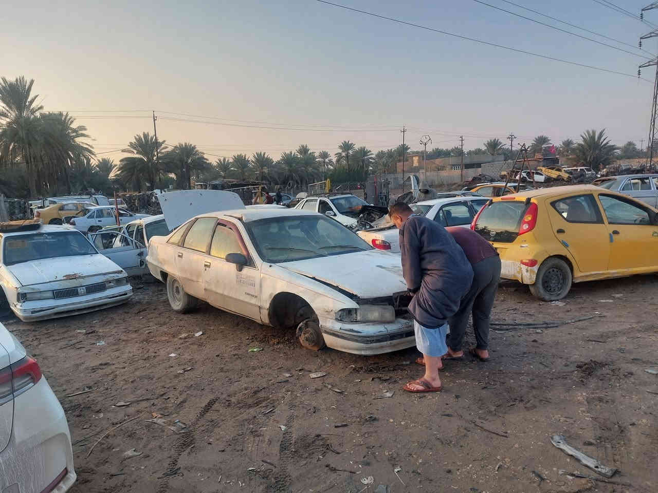 تفصيخ دولفين العنوان بابل مشروع المسيب اتصال فقط ***********  ***********
