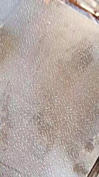 كوستر • مكينة بريجو • ناصريه