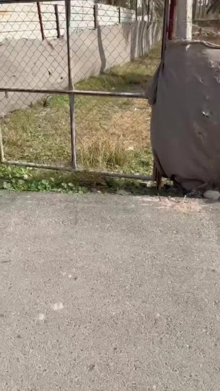 700 متر لبيع الجعار قرب شارع سيد علي المدائن واجهيه 16 ونزال 46 و80 سانتيم طابو ملك صرف 
***********
