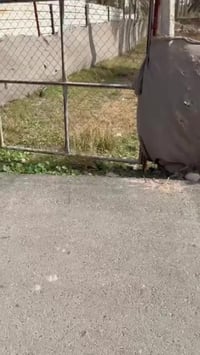 الجعار • ٧٠٠م • طابو ملك صرف