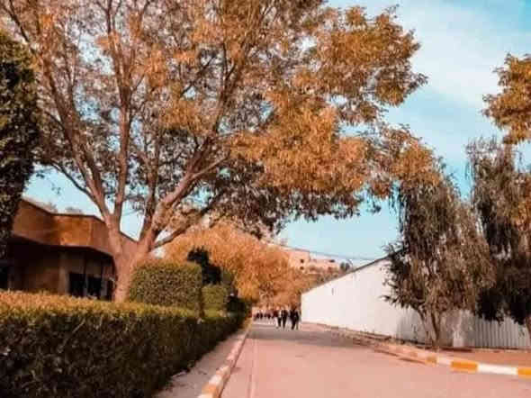 بلاش بسعر 3 الاف فقط 💸
تجيك سياره منطقتك 
  وترجعك منطقتك 
الى 

اثار بابل 

قصر صدام 

المنتجع السياحي 

زوارق الجميله 

مدينة حموربي السياحية

الانطلاق يوم 🚍🚎🚍

                                 الاربعاء المصادف
2025/12/10

ساعه 8 ونص صباحا ⏰🏙🏙

العوده ليلا

سعر الباص 3 الاف💴💵

للعوائل فقط 👨‍👩‍👦 

للحجز والاستفسار 📞☎️📲📱

واتساب تلي كرام  فايبر📩📨

او مراسلة الصفحه خاص

***********

***********

العنوان /  الديوانيه 
حي المعلمين مقابل مقر سوات مجاور سنتر نور الخفاجي 

بأدارة / حجي حيدر ابو آدم
