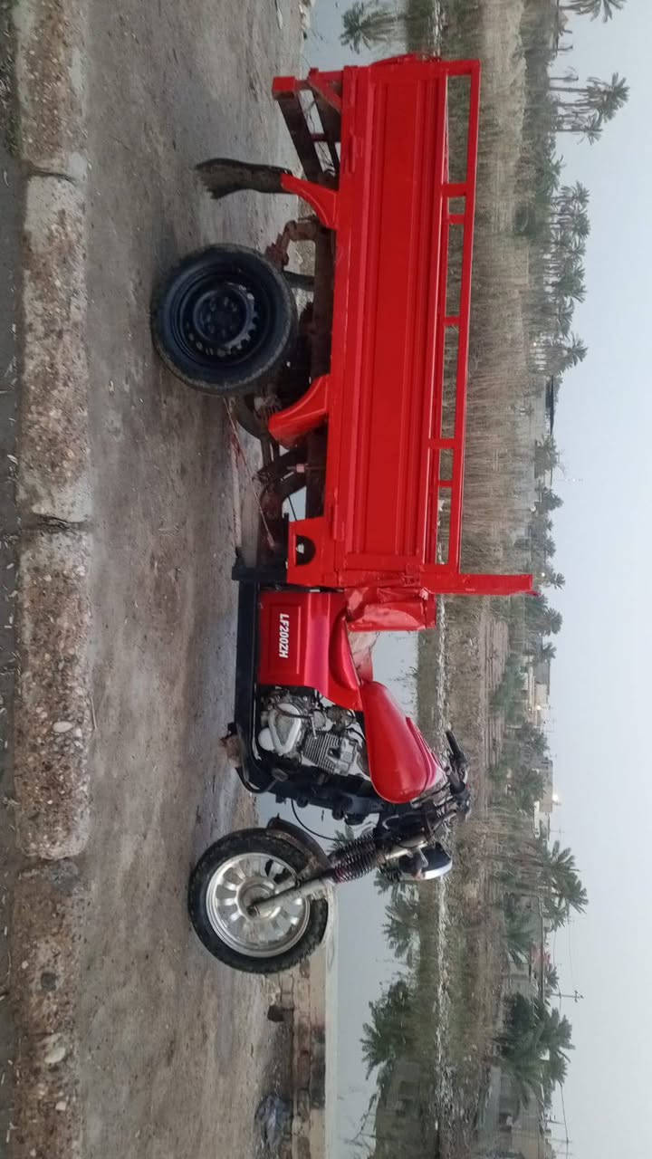 سلام عليكم فرس للبيع اوراق موديل 2014  نقص بيها ورقة الوكيل ستوته جاهزه من الطول للطول مابيها اي نقص حداديه تايرات شاصي مكفول بدي نضيف كهربائيات كلها شغاله مكينه نضيفه وناعمة اترايك وين مايعجبك   السعر مليون و100 وبيها مجال حك الجيه مكاني ابو الخصيب 

***********
