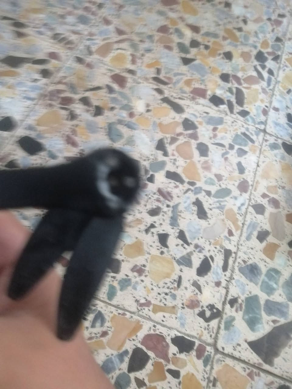 السلام عليكم طياره درون جديده تحتوي على كامرتين تحتوي على نضام السرعه تشتغل ما بيه شي بس هايه القاعده مكسوره وموجوده ويه الأغراض غير هاذه كلشي ما بيه السعر 100 الف ولا يوجد توصيل الموقع بغداد الصليخ


**إذا كنت صاحب هذا الإعلان وتريد حذفه لأي سبب، رجاءا أرسل رسالة إلى الدعم الفني**