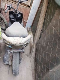 نجف • ماكس مضلع • صيني