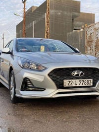 سوناتا • ٢٠٢١ • صبغ قطعتين