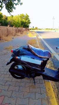 نتيه • كابريتر • بلادي