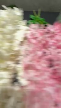 كربلاء المقدسة • البوبيات • جملة واتساب