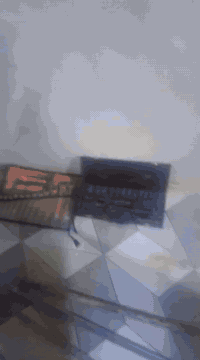 السلام عليكم قراض بنجر للبيع ***********///////////////***********//السعر 525
