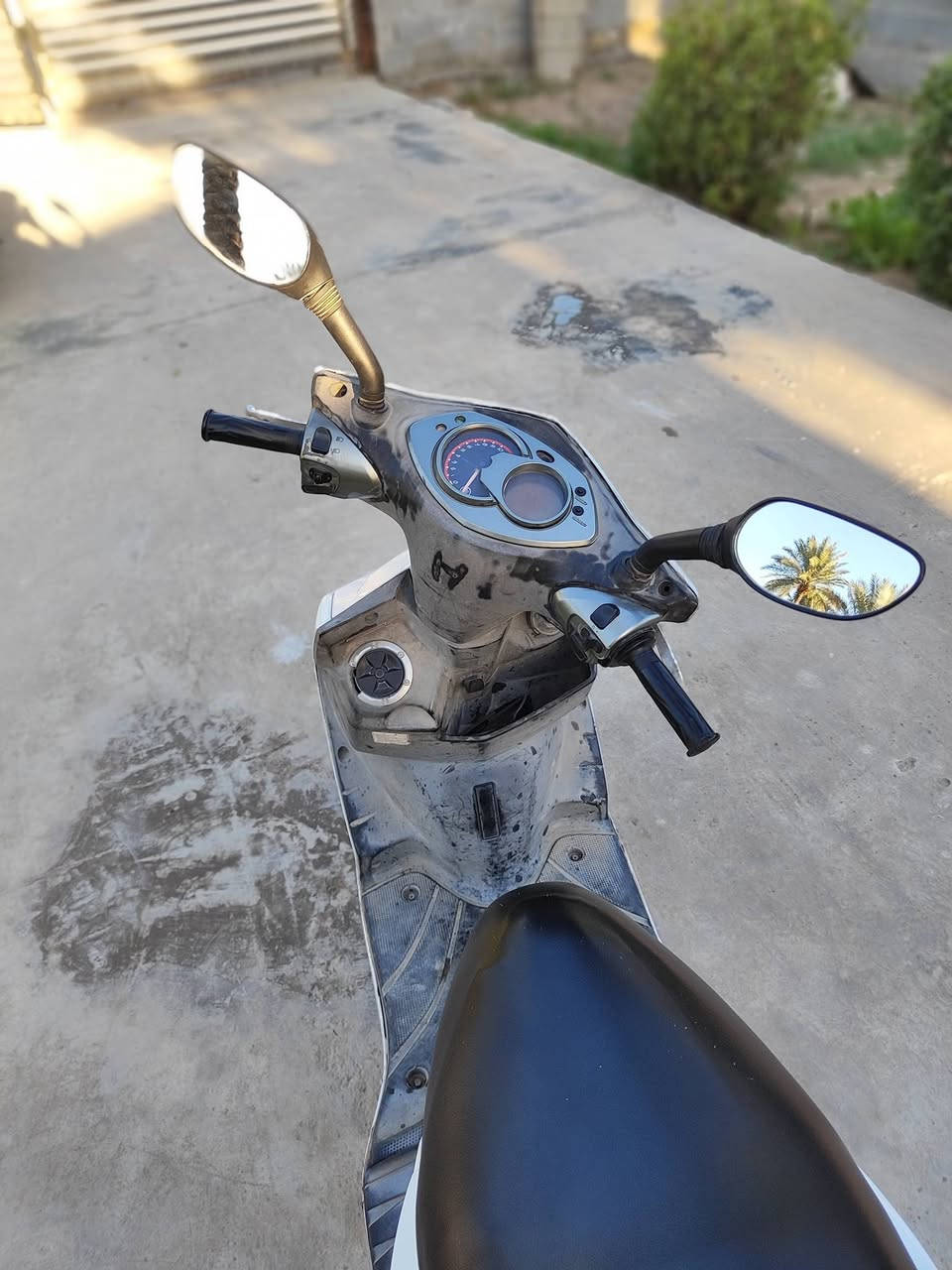 سكنس فحل كابريتر للبيع
كابريتر تفصيخ قبق اسود سعره 75

 

فاكيوم اصلي جديد

 خرز كلج جدد

كهربائيات كلها شغاله 

اشاير بيض ثابت 

كفرات كلها ختم واحد حته الذيل نفس الختم

دواخل مولحه 

تايرات جدد

مكينه مفتوحه بس بوضع البلاد 

دراجه بلاديه 

الدراجه جاهزة لآخر حبه ماناقصها شي تفحص وتأخذ وين متريد شغل واطلع عليها ادامه كامله من كلشي فقط يرادلها قمجي مال عداد سرعه سعر 675 بيها مجال كلش كلش بسيط *********** واتساب بغداد
