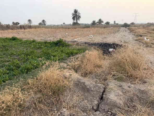 ٣ دونم السعر ٦٥ طابو زراعي سند ٢٥ مداور باسم المشتري مباشر المكان اول فرع بعد جامعه بابل تبعد عن شارع حله نجف ٢ كيلو وتبعد عن التبليط ١٥٠ متر الأرض زراعيه ومناسبه جدا 
للاستفسار الاتصال على الرقم 
***********
او واتساب 
***********
