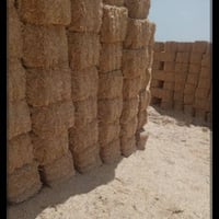 تبن • ٢٠٠ كبس • الرفاعي