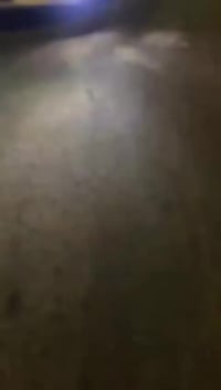 اكسنت • ٢٠١٠ • توماتيك