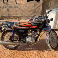 تايگر • موديل ٢٠٢٠ • اوراق كامله