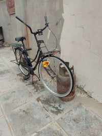 باسكل • ٢٠١٣ • حاوية