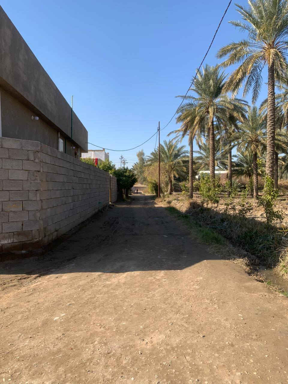 اللهم صل على محمد وآل محمد
أرض زراعيه المساحه 10 دوانم  طابو زراعي سند 25 في واسط قضاء العزيزيه الدير الاوسط تبعد عن طريق بغداد كوت مسافه 3كم متوفر بيهه كافه الخدمات كهرباء ماء اساله ماء سقي أرض زميجيه  تصلح بستان  او حقول دواجن او حقول عجول الاستفسار الاتصال على الرقم *********** واتساب موجود على الرقم
