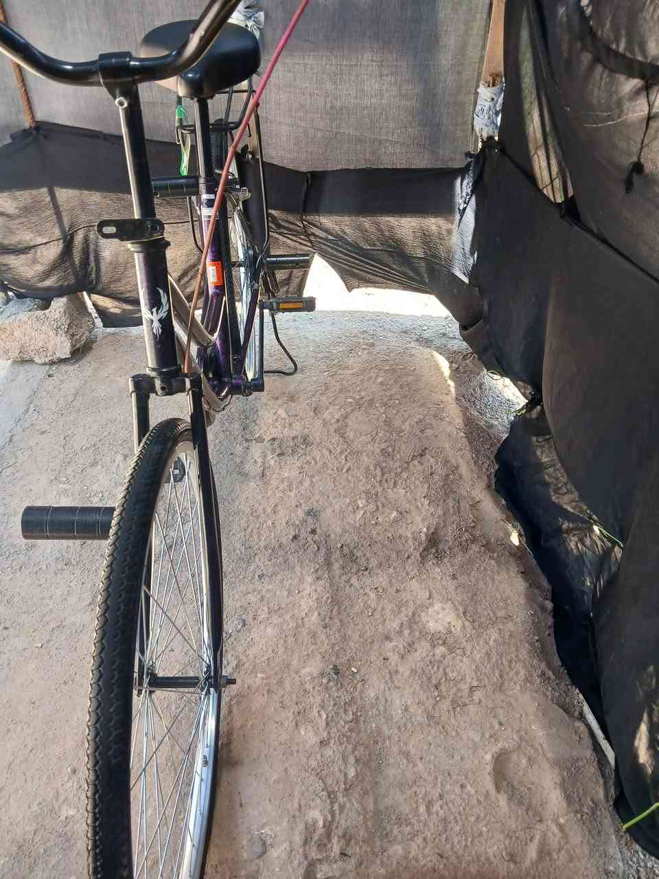 للبيع غراضه موجوده المدكر ولايت وبريك امامي مديل 24 صارلي 7سبوع من جبته حجم 26 قيم واخذ بس خلي الله بين عيونك
رقم الهاتف 7861623670
للبيع غراضه موجوده المدكر ولايت وبريك امامي مديل 24 صارلي 7سبوع من جبته حجم 26 قيم واخذ بس خلي الله بين عيونك
