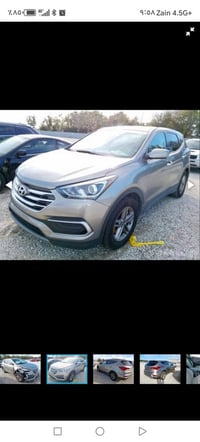 سنتافيا • ٢٠١٨ • وارد أمريكي