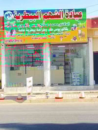 تلقيح اصطناعي • كركوك الحويجة • هولشتاين