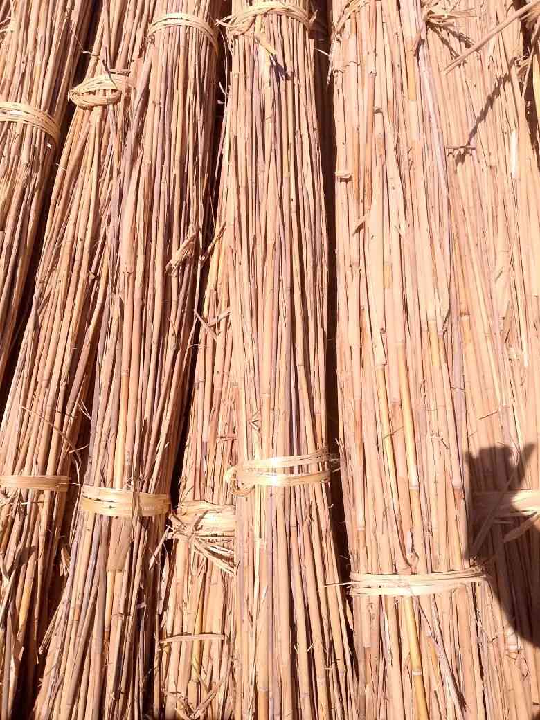 سلام عليكم يتوفر شباب وتباره ومناسبه ***********
